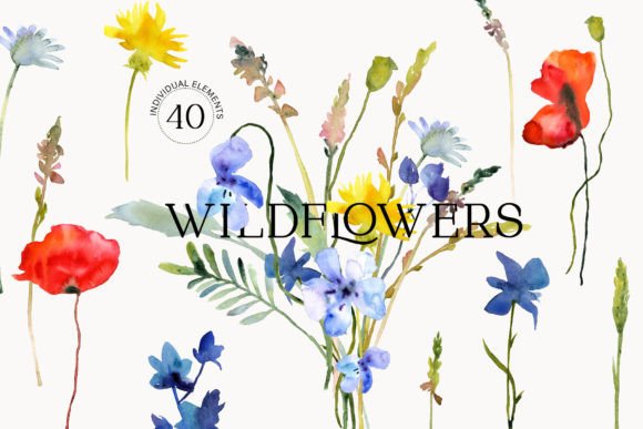 Bring a Botanical Touch to Your Projects with Watercolor Wildflowers Graphics