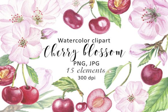 Elevate Your Projects with Watercolor Clipart Cherry Flower Blossom