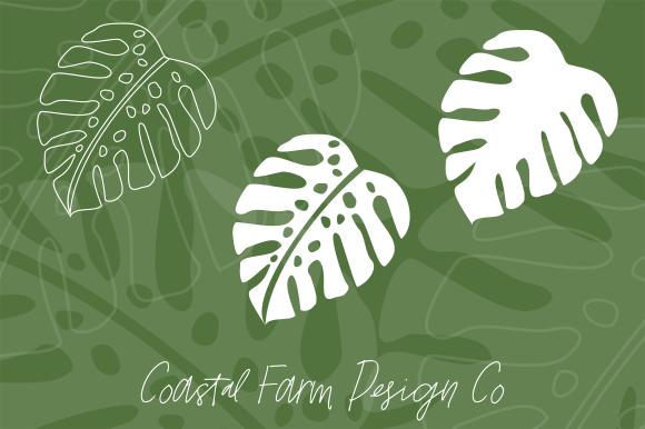 Tropical Monstera Deliciosa 2 Leaf: A Designer's Go-To Botanical Asset